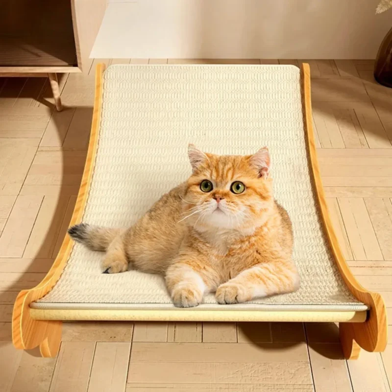 Coussinets coussinet des chats