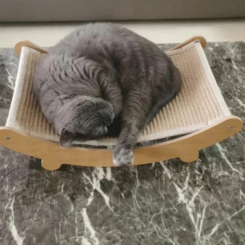 Coussinets coussinet des chats – Image 3